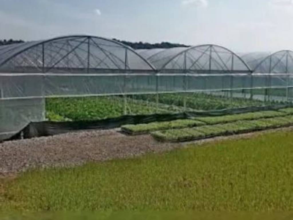 terreno agricolo in vendita a Capaccio Paestum in zona Gromola/Foce Sele