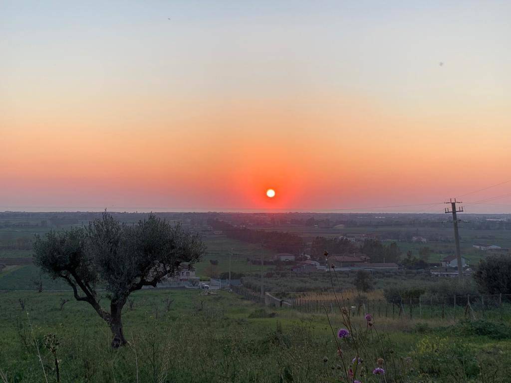 casa indipendente in vendita a Capaccio Paestum