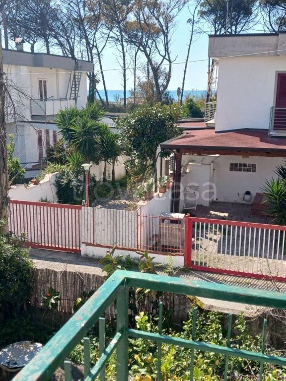 casa indipendente in vendita a Capaccio Paestum in zona Torre/Licinella