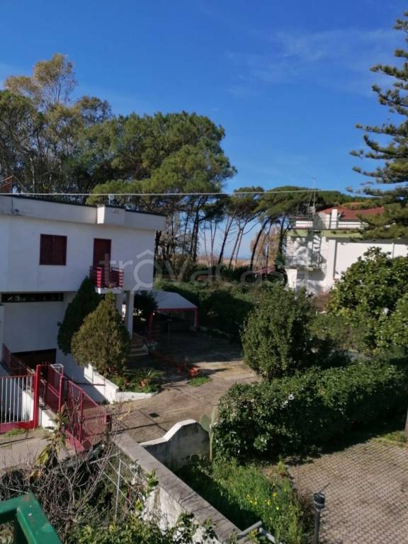 casa indipendente in vendita a Capaccio Paestum in zona Torre/Licinella