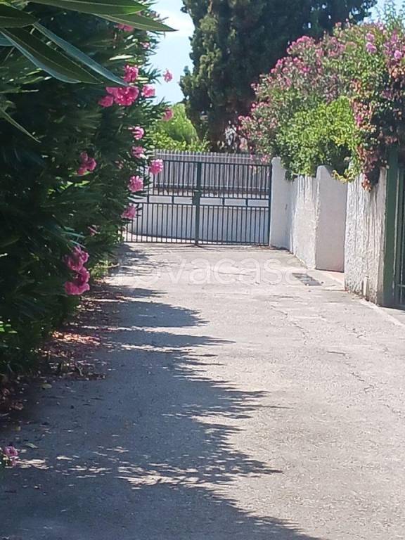 casa indipendente in vendita a Capaccio Paestum in zona Torre/Licinella