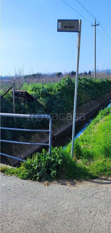 terreno agricolo in vendita a Capaccio Paestum
