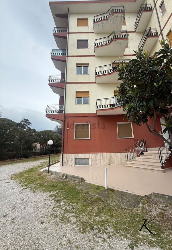 immagine annuncio 0 di 1