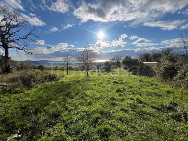 terreno agricolo in vendita a Capaccio Paestum in zona Capaccio Scalo