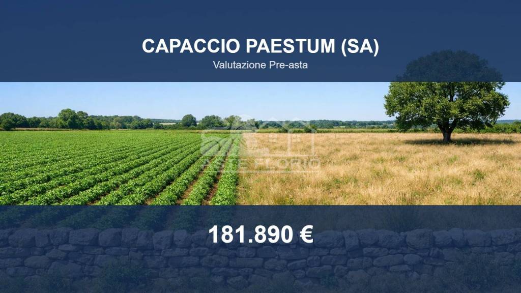 terreno agricolo in vendita a Capaccio Paestum in zona Laura