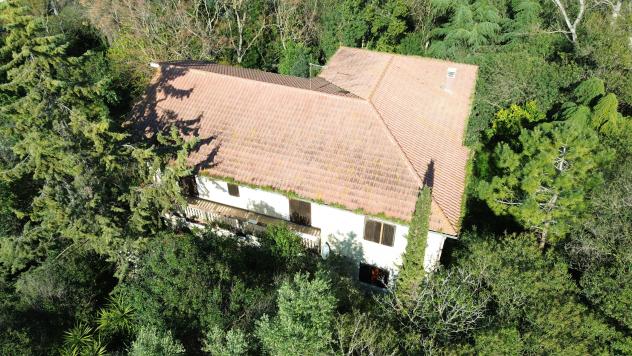 casa indipendente in vendita a Capaccio Paestum in zona Capo di Fiume
