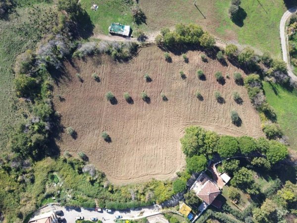 terreno agricolo in vendita a Capaccio Paestum