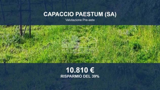 terreno agricolo in vendita a Capaccio Paestum