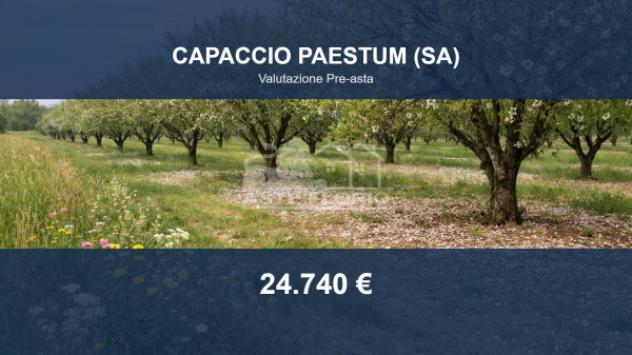 terreno agricolo in vendita a Capaccio Paestum