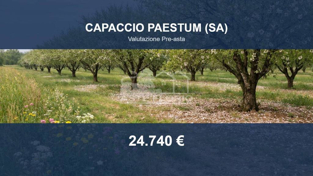 terreno agricolo in vendita a Capaccio Paestum in zona S.Venere
