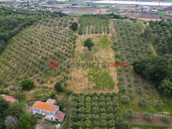 terreno agricolo in vendita a Capaccio Paestum in zona Vuccolo Maiorano.