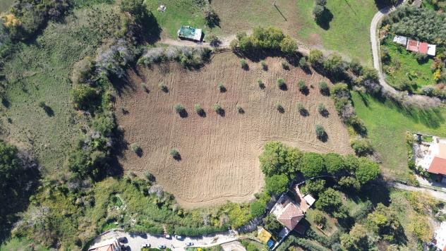 terreno agricolo in vendita a Capaccio Paestum in zona Vuccolo Maiorano.