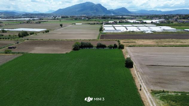 terreno agricolo in vendita a Capaccio Paestum