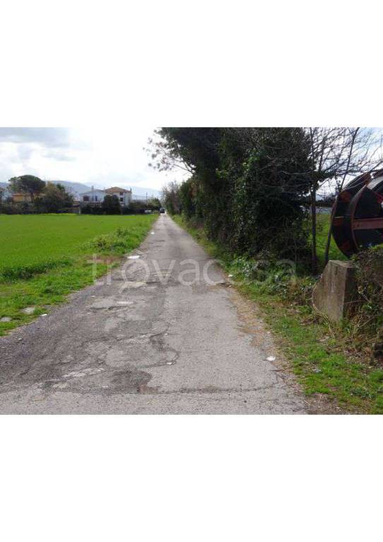 terreno agricolo in vendita a Capaccio Paestum