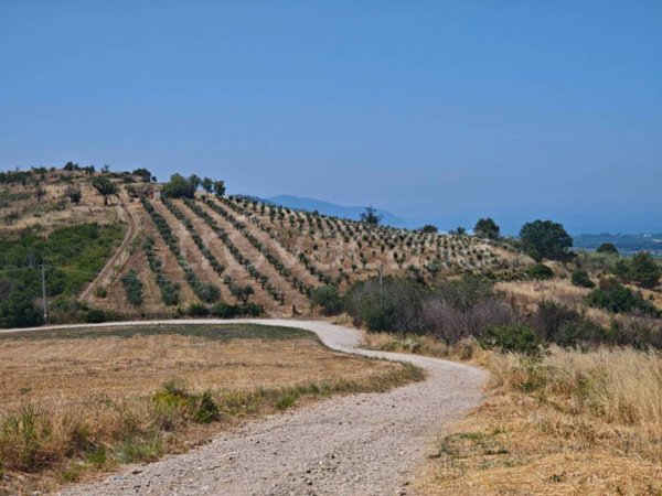 terreno agricolo in vendita a Capaccio Paestum