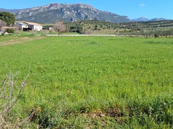 terreno agricolo in vendita a Capaccio Paestum in zona Gromola/Foce Sele