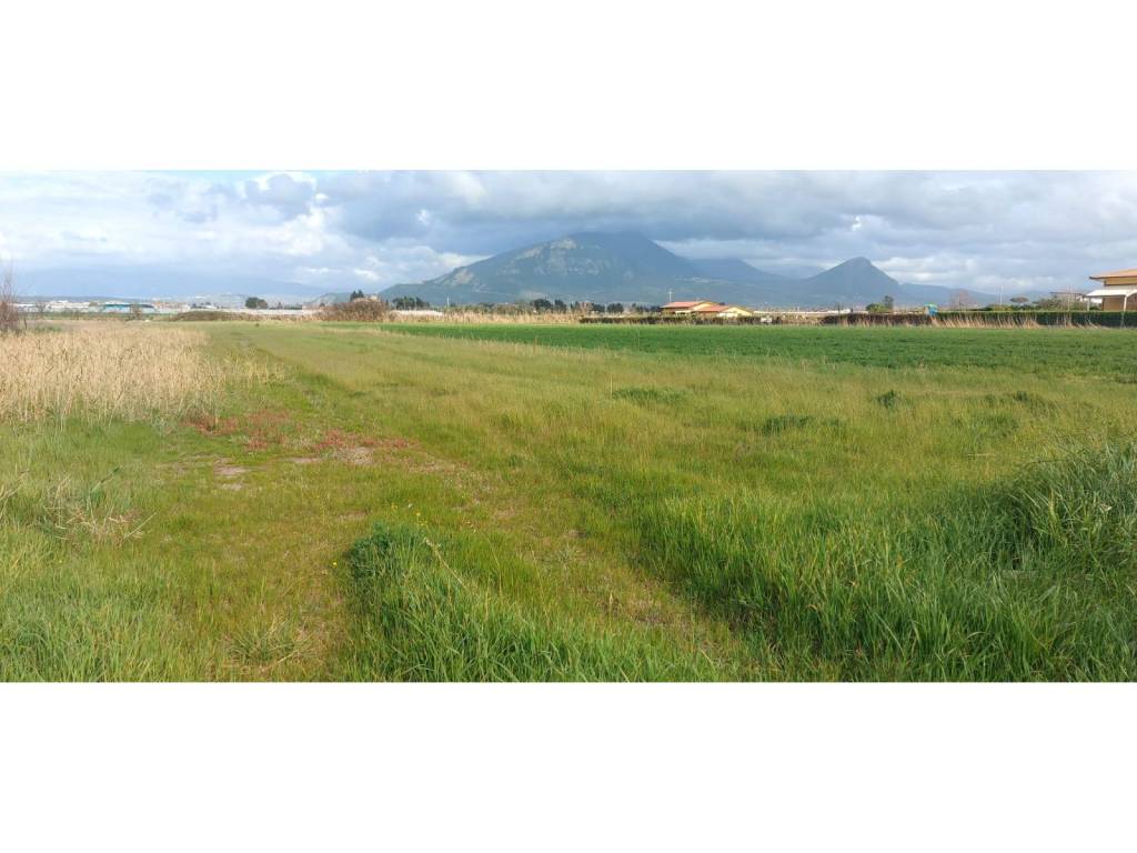 terreno agricolo in vendita a Capaccio Paestum in zona Gromola/Foce Sele