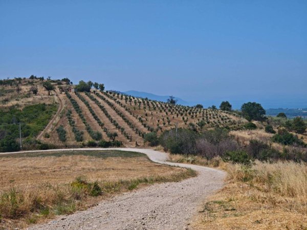 terreno agricolo in vendita a Capaccio Paestum in zona Gromola/Foce Sele