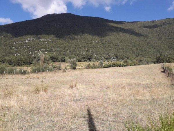 terreno agricolo in vendita a Capaccio Paestum