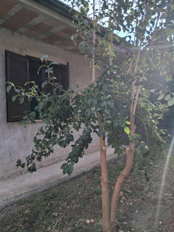 casa indipendente in vendita a Capaccio Paestum