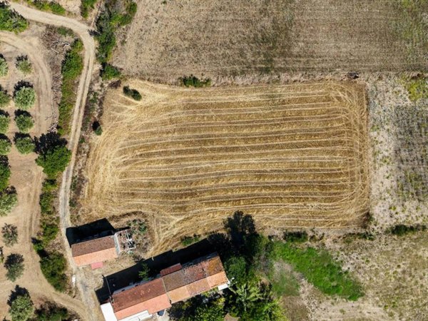 terreno agricolo in vendita a Capaccio Paestum in zona Gromola/Foce Sele