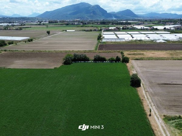 terreno agricolo in vendita a Capaccio Paestum in zona Gromola/Foce Sele