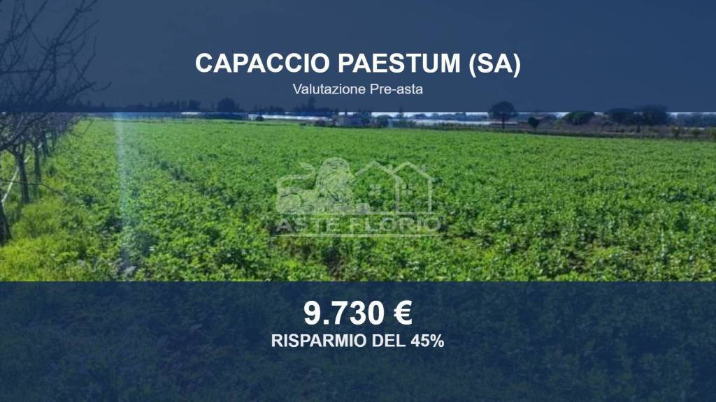 terreno agricolo in vendita a Capaccio Paestum in zona Gromola/Foce Sele