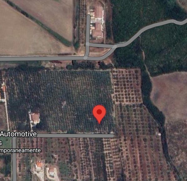 terreno agricolo in vendita a Capaccio Paestum in zona Gromola/Foce Sele