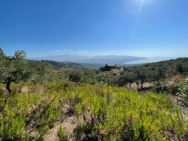terreno agricolo in vendita a Casal Velino in zona Marina di Casal Velino