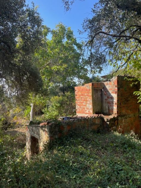 terreno agricolo in vendita a Casal Velino in zona Marina di Casal Velino