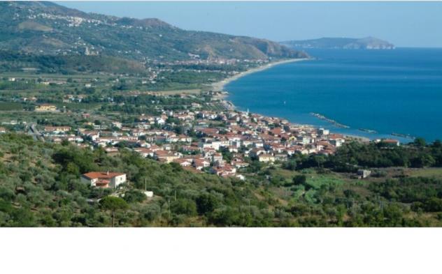 terreno agricolo in vendita a Casal Velino in zona Acquavella