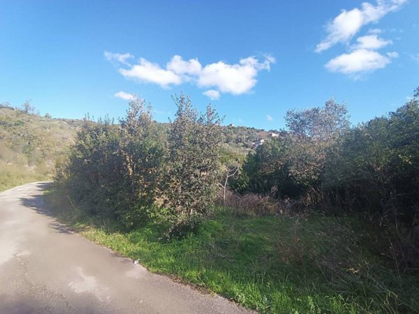terreno agricolo in vendita a Casal Velino
