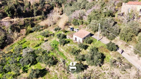 terreno agricolo in vendita a Casal Velino