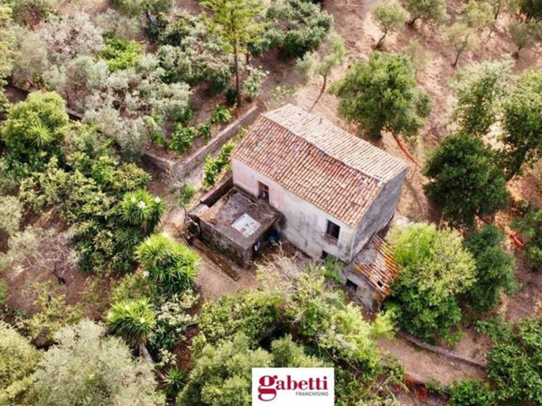 terreno agricolo in vendita a Casal Velino