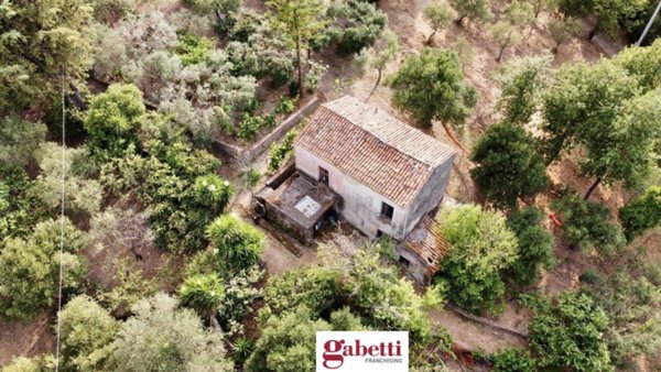 terreno agricolo in vendita a Casal Velino