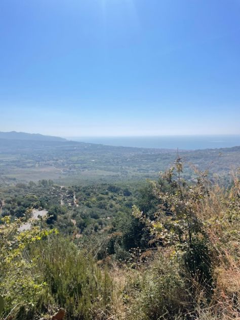 terreno agricolo in vendita a Casal Velino in zona Acquavella