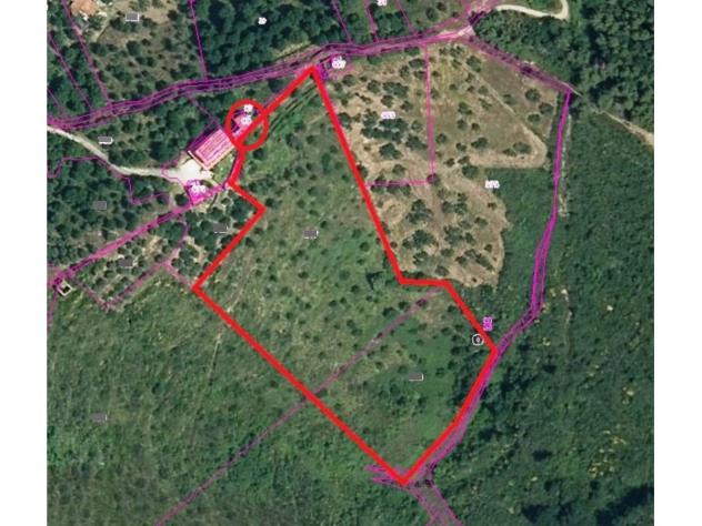 casa indipendente in vendita a Casal Velino