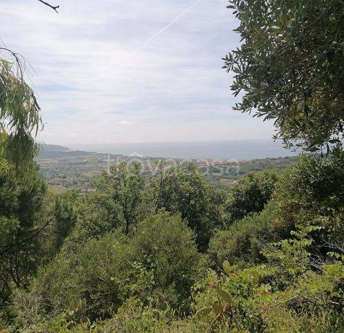 casa indipendente in vendita a Casal Velino