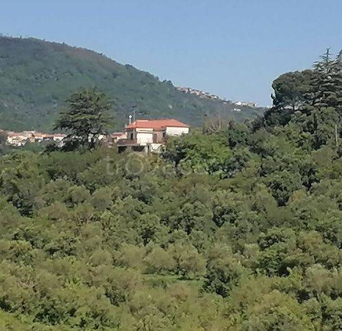 casa indipendente in vendita a Casal Velino