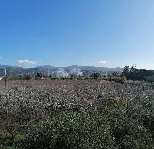 terreno agricolo in vendita a Casal Velino