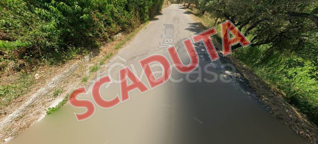 appartamento in vendita a Casal Velino