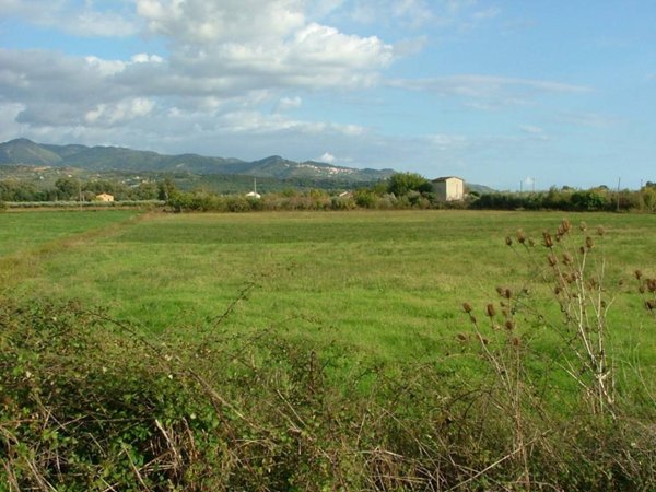 terreno agricolo in vendita a Casal Velino