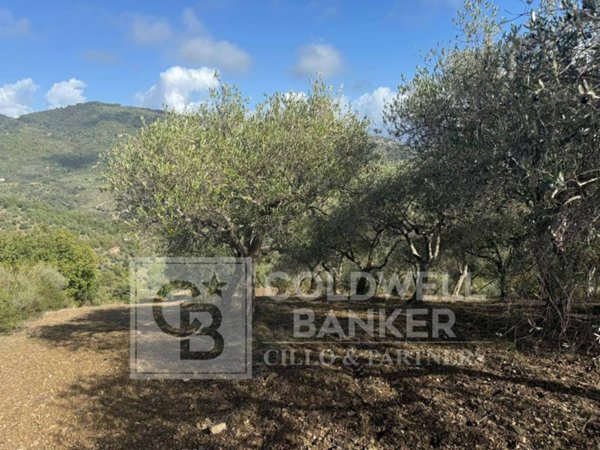 terreno agricolo in vendita a Casal Velino