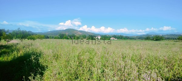 terreno agricolo in vendita a Casal Velino in zona Acquavella