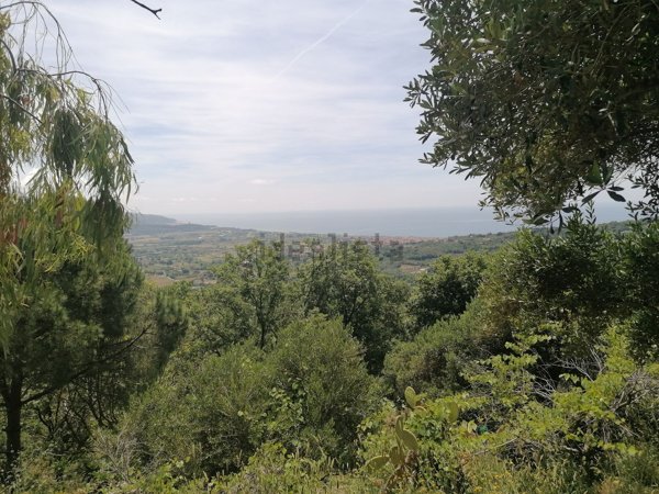 terreno agricolo in vendita a Casal Velino