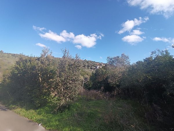 terreno agricolo in vendita a Casal Velino
