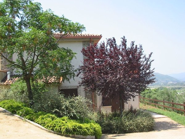 casa indipendente in vendita a Casal Velino in zona Verduzio