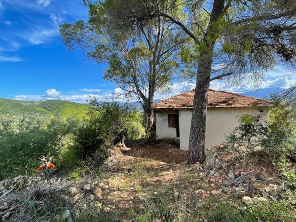 appartamento in vendita a Casal Velino