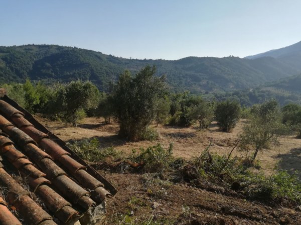 casa indipendente in vendita a Casal Velino