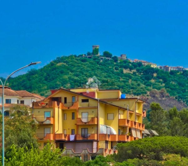 appartamento in vendita a Casal Velino